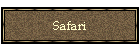 Safari